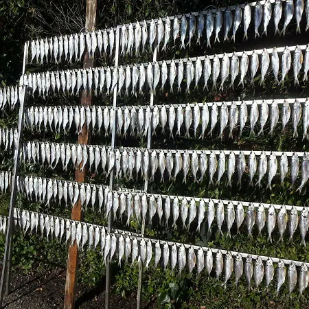 Lennolake Relax House