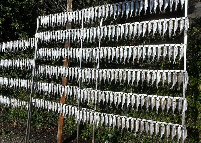 Lennolake Relax House